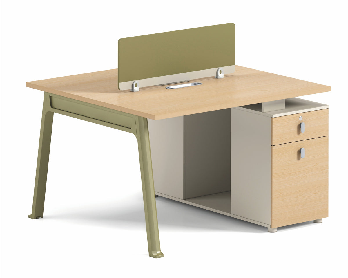 2 Seater Workstation Desk OZ4313